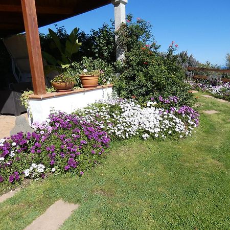 סיניסקולה Comino Alto Agriturismo E Appartamenti מראה חיצוני תמונה