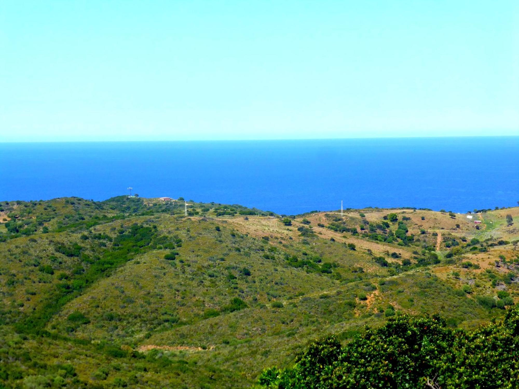 סיניסקולה Comino Alto Agriturismo E Appartamenti מראה חיצוני תמונה
