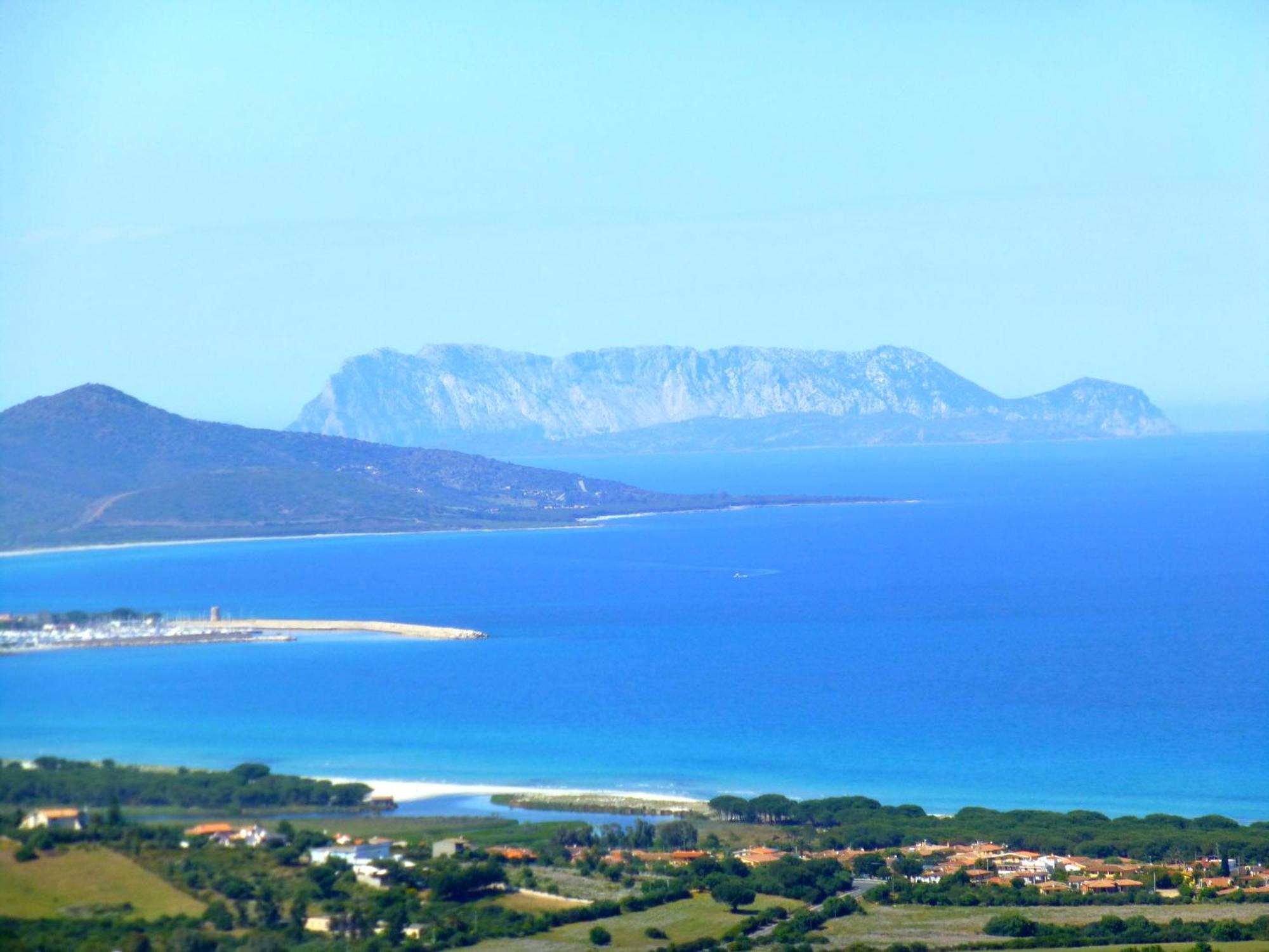 סיניסקולה Comino Alto Agriturismo E Appartamenti מראה חיצוני תמונה