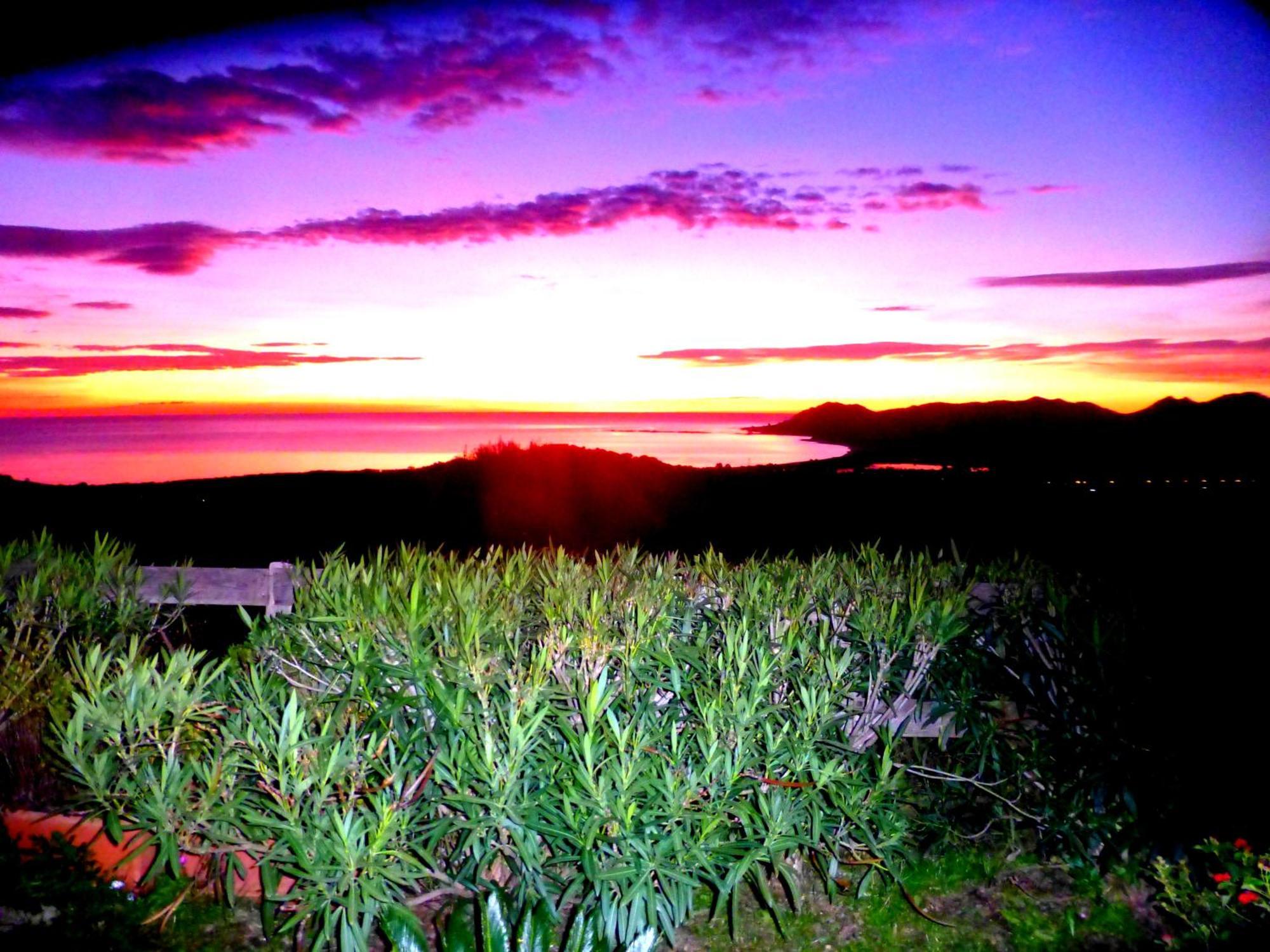 סיניסקולה Comino Alto Agriturismo E Appartamenti מראה חיצוני תמונה