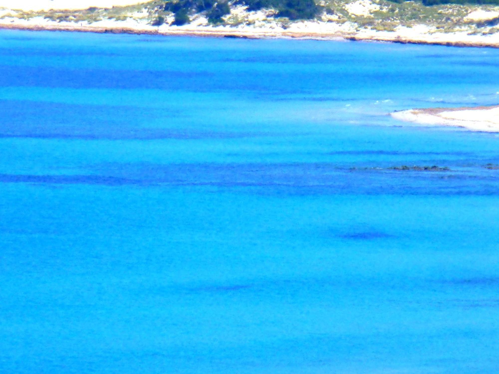 סיניסקולה Comino Alto Agriturismo E Appartamenti מראה חיצוני תמונה