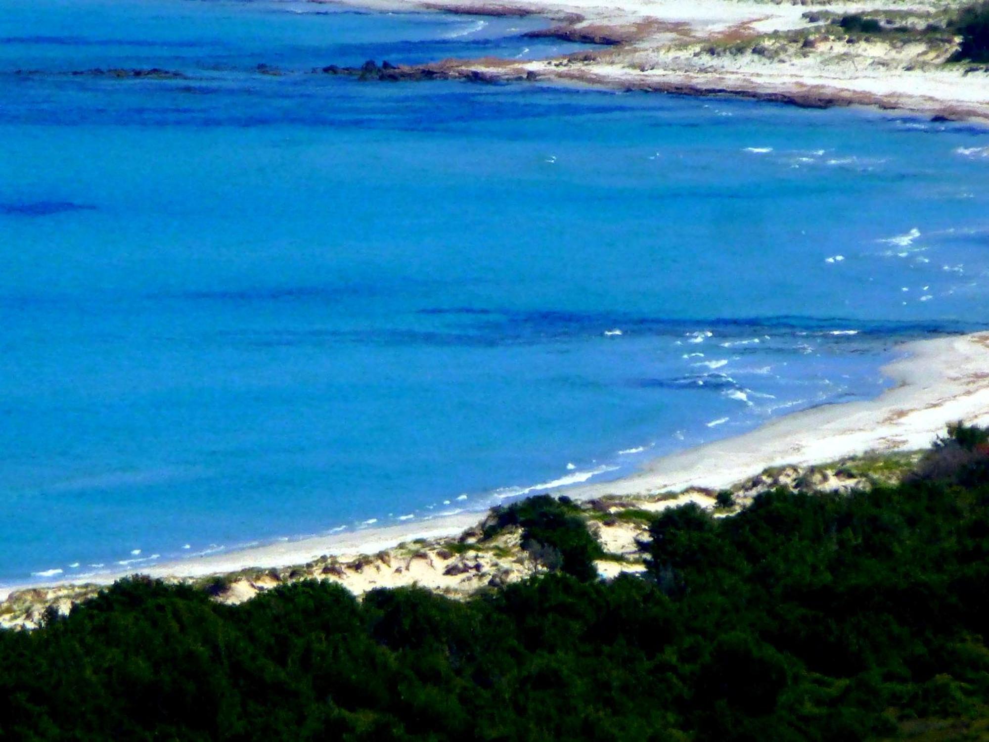 סיניסקולה Comino Alto Agriturismo E Appartamenti מראה חיצוני תמונה