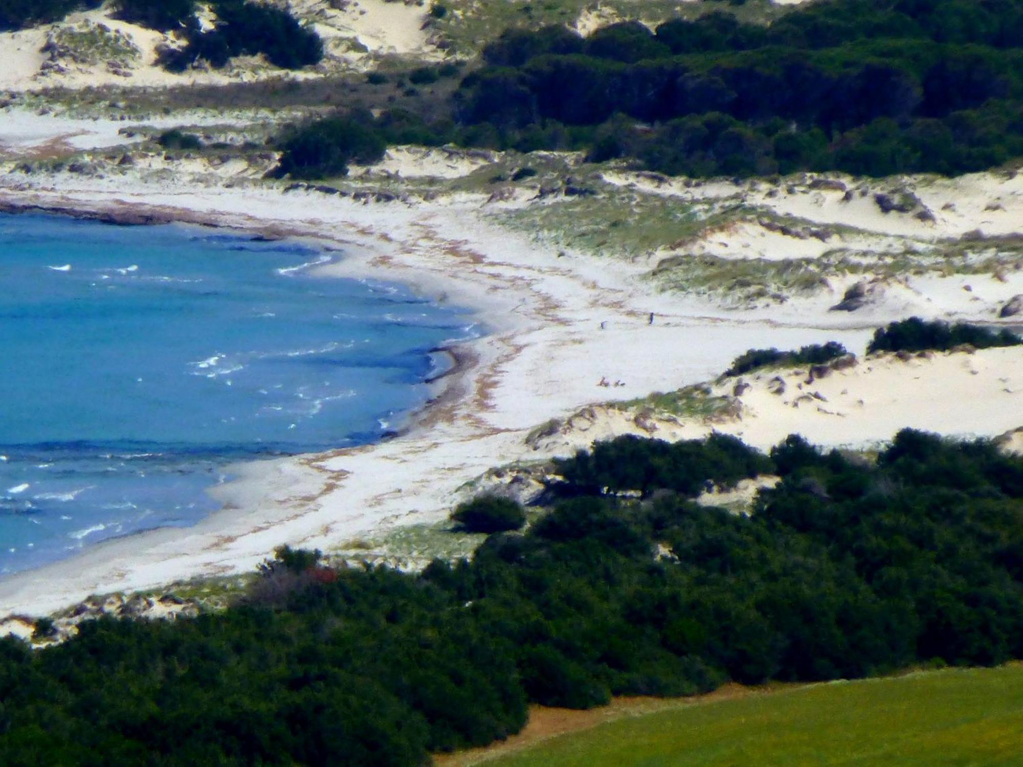סיניסקולה Comino Alto Agriturismo E Appartamenti מראה חיצוני תמונה