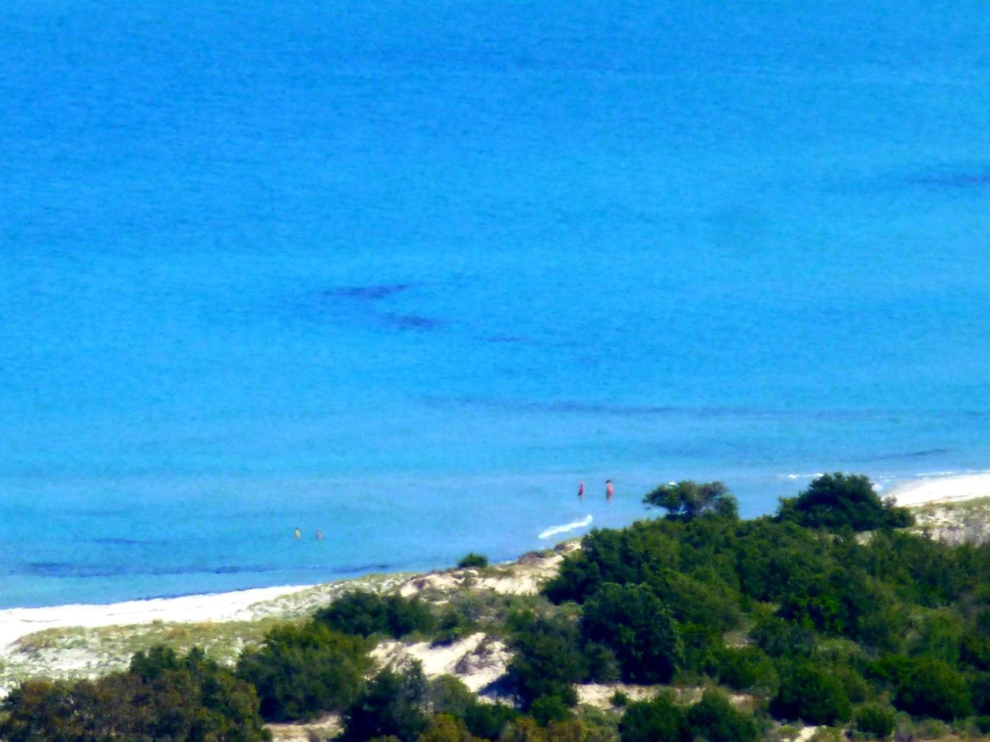 סיניסקולה Comino Alto Agriturismo E Appartamenti מראה חיצוני תמונה
