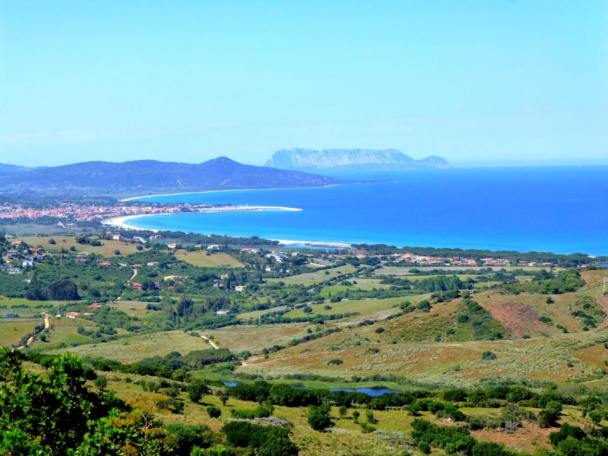 סיניסקולה Comino Alto Agriturismo E Appartamenti מראה חיצוני תמונה