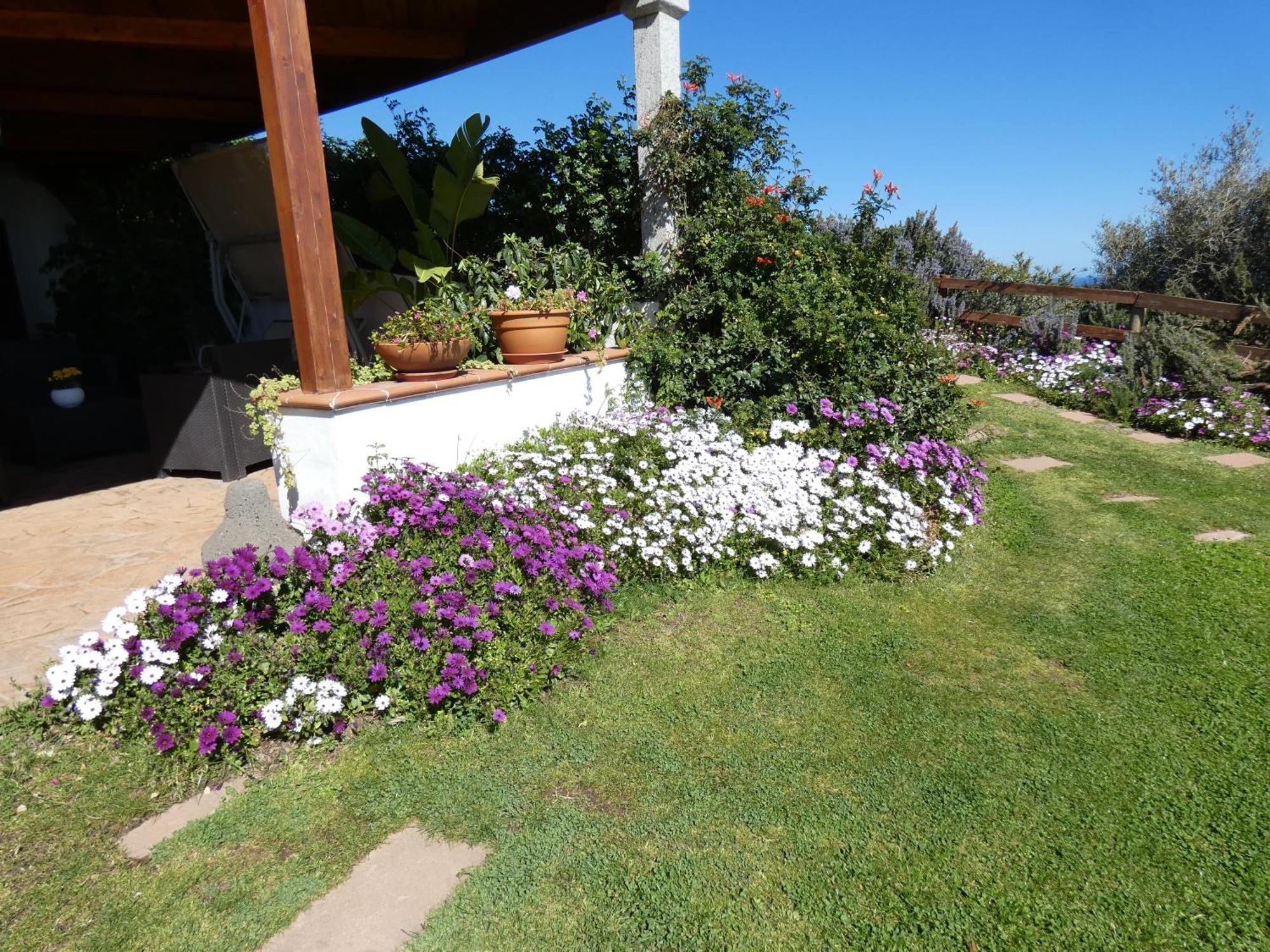 סיניסקולה Comino Alto Agriturismo E Appartamenti מראה חיצוני תמונה