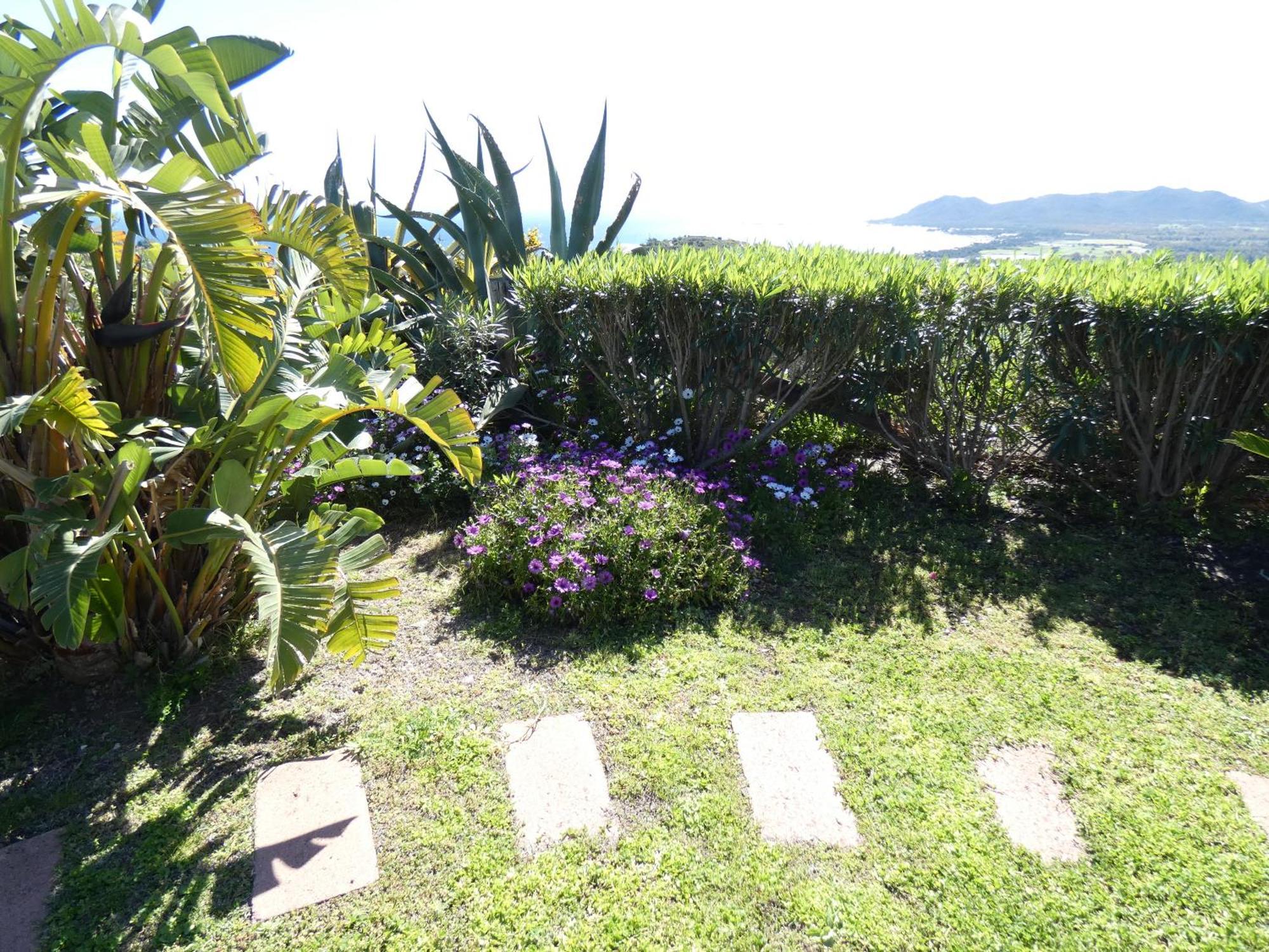 סיניסקולה Comino Alto Agriturismo E Appartamenti מראה חיצוני תמונה