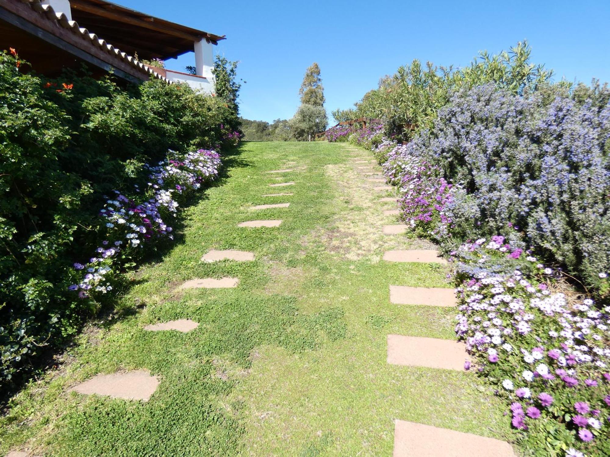 סיניסקולה Comino Alto Agriturismo E Appartamenti מראה חיצוני תמונה