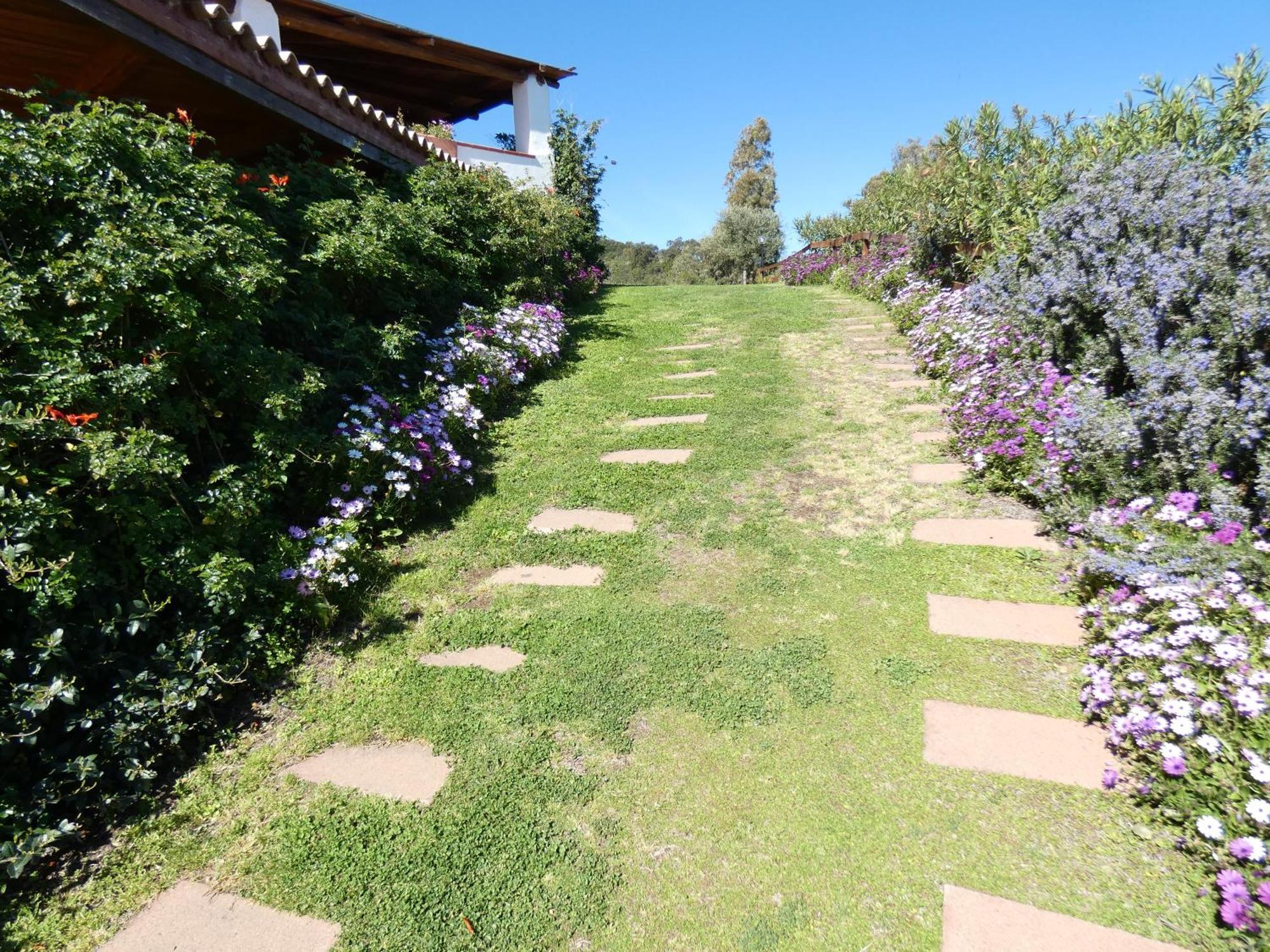 סיניסקולה Comino Alto Agriturismo E Appartamenti מראה חיצוני תמונה