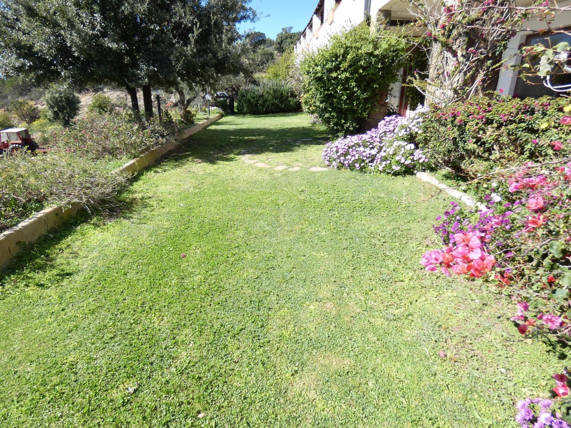 סיניסקולה Comino Alto Agriturismo E Appartamenti מראה חיצוני תמונה